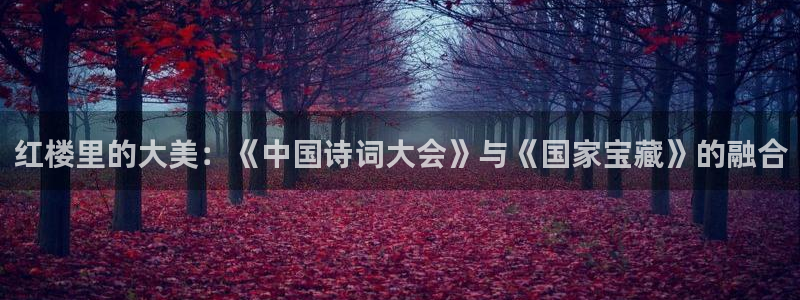 歐美理論大片在線播放：紅樓里的大美：《中國詩詞大會》與《國家寶藏》的融合